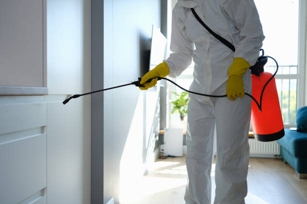 Best Home Mold Removal  in Sparrow Bush, NY