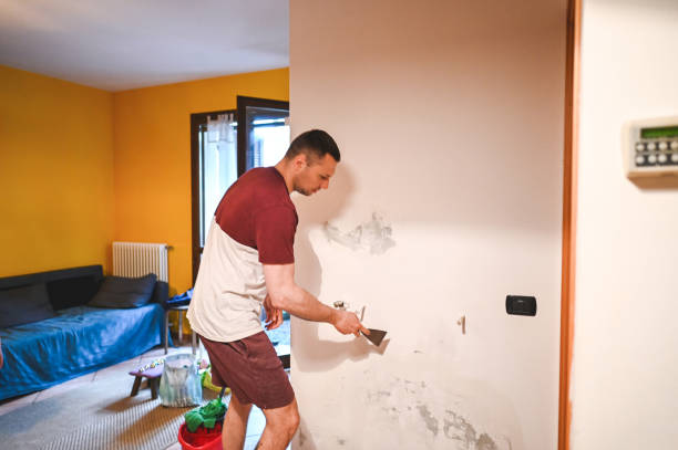 Best Mold Removal Near Me  in Sparrow Bush, NY