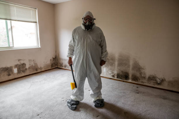 Crawl Space Mold Removal in Sparrow Bush, NY